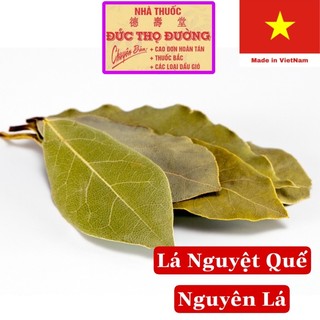 Combo 10 lá nguyệt quế nguyên lá