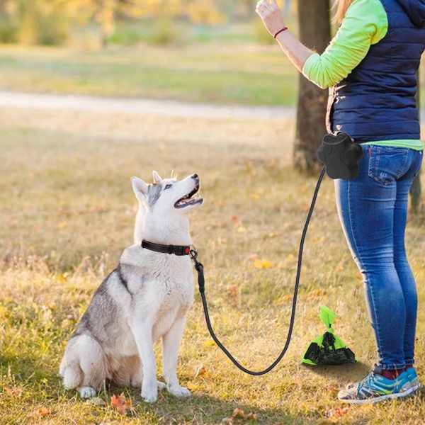 Dây Xích Chó Cho Chó Nhỏ 1.5m Dây Xích Chó Con Trượt Có Thể Điều Chỉnh Với Tay Cầm Thoải Mái- Dây Xích Huấn Luyện Phản Quang Cho Chó Vừa Và Nhỏ