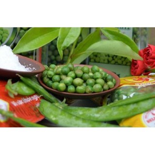 Đậu hà lan sấy giòn vị muối ocasso