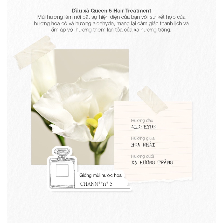 Dầu Xả Jmella In France Phục Hồi và Dưỡng Ẩm Hương No. 4 Queen 5 Hair Treatment Cỏ An Đê Hít và Vanilla Trầm Ấm 500ml
