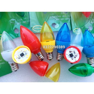 bộ 10 bóng đèn trái ớt led