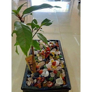Đá Thach Anh Vụn Ngũ Sắc (2kg)