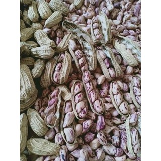 Lạc Hoa Mèo
