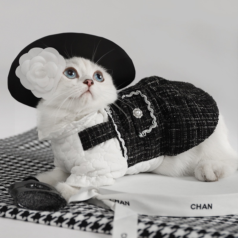 Váy Công Chúa Thời Trang Thu Đông Cho Thú Cưng