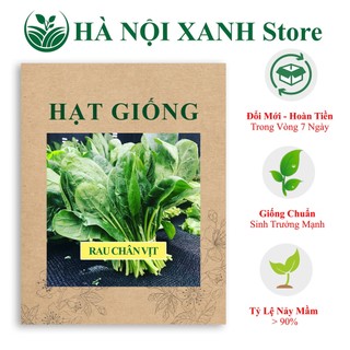 Cải bó xôi, binna, rau chân vịt