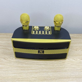 Loa Karaoke Bluetooth YS-202 Kèm 2 Micro Không Dây