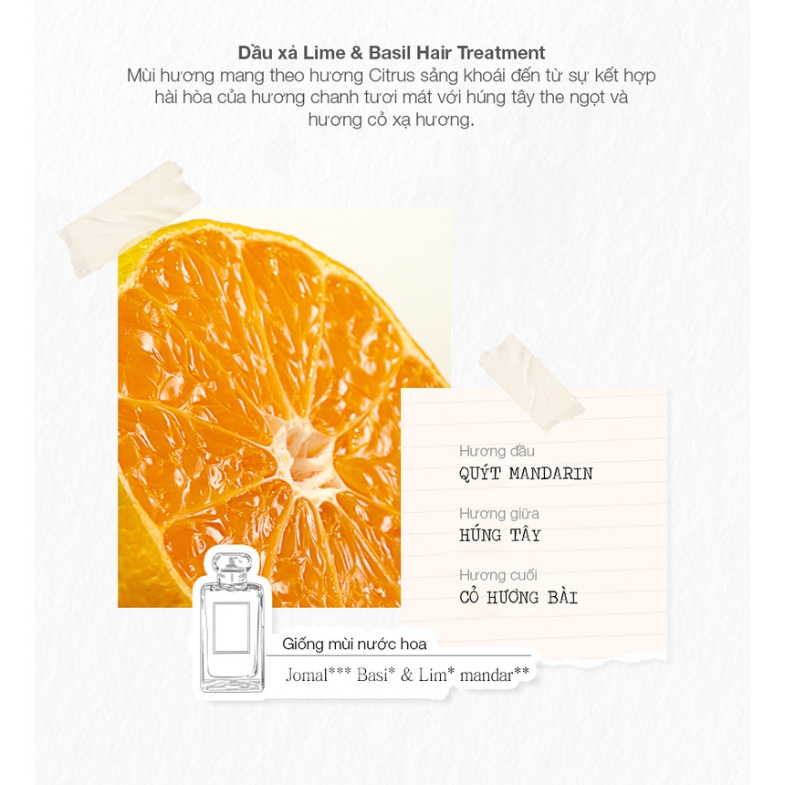 Dầu Xả Jmella In France Phục Hồi và Dưỡng Ẩm Hương No. 3 Lime & Basil Hair Treatment Chanh và Húng Quế Tươi Mát 500ml