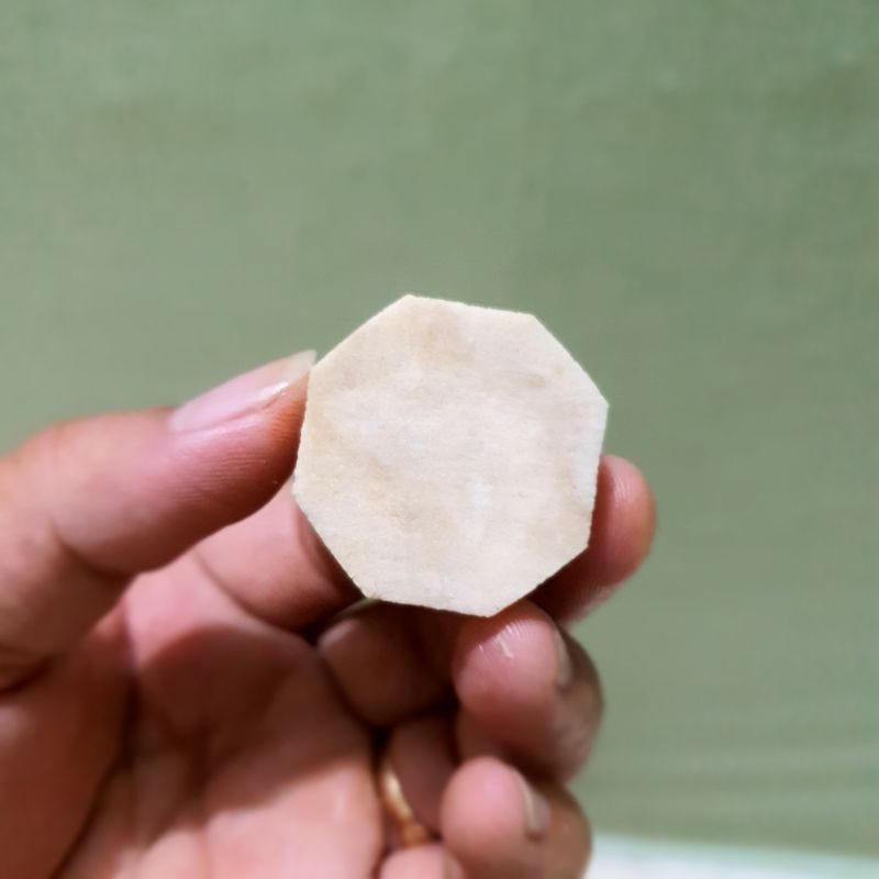 Đế frag gắn san hô