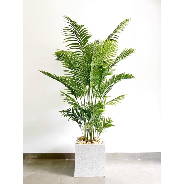Cây dừa giả 1,6m và 1,4m
