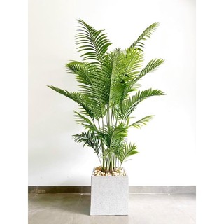 Cây dừa giả 1,6m và 1,4m