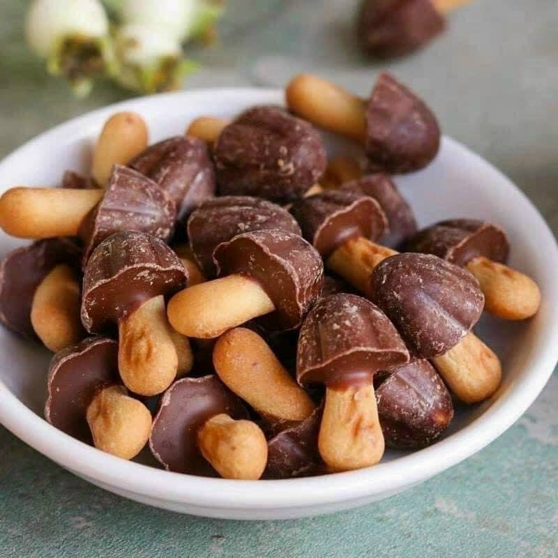 Bánh chocolate nấm Meiji Chocorooms - EDS
