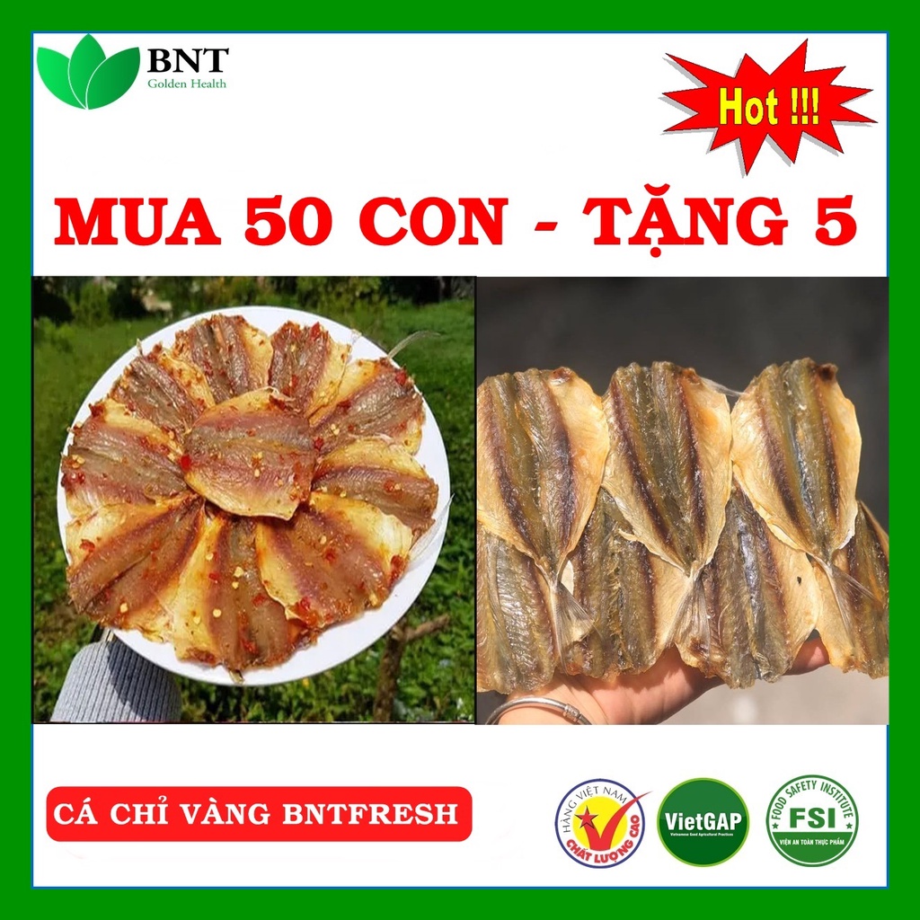 1 Con cá chỉ vàng BNT FRESH FOOD Size L, Loại I, dày, ngọt, thơm ngon( bao đổi trả)