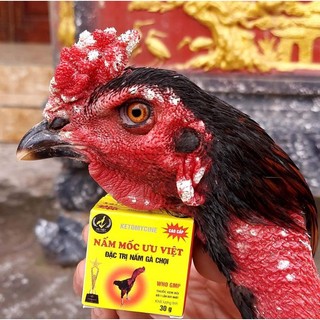 mốc bôi ưu việt