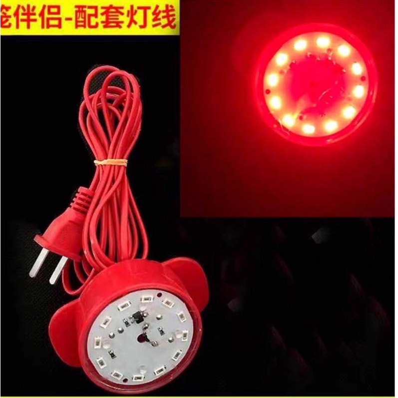 Đèn Led chuyên dụng cho Đèn lồng nhung đỏ Lồng đèn treo Tết ngoài trời