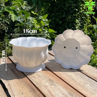 Chậu nhựa trắng để bàn - chậu nhựa trái bí - chậu nhựa thái bình