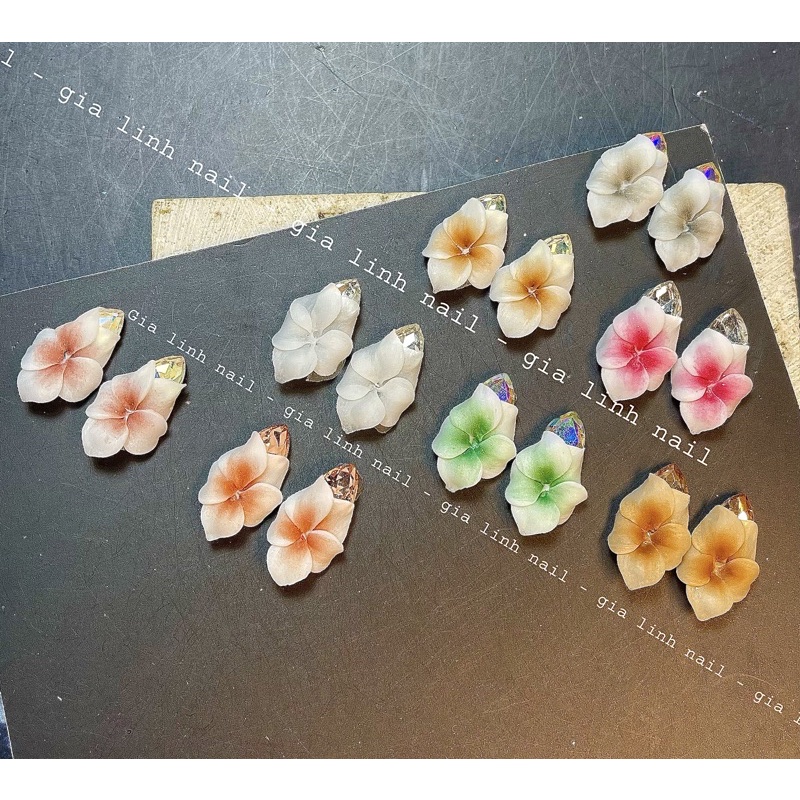 Hoa bột nail ly đá ( set 2b - 10bông)