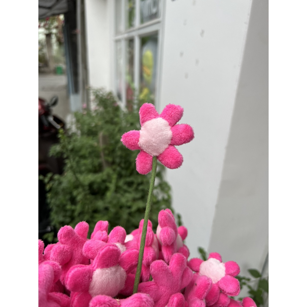 Hoa 6 Cánh Dễ Thương, thân 30cm - gấu bông đình may