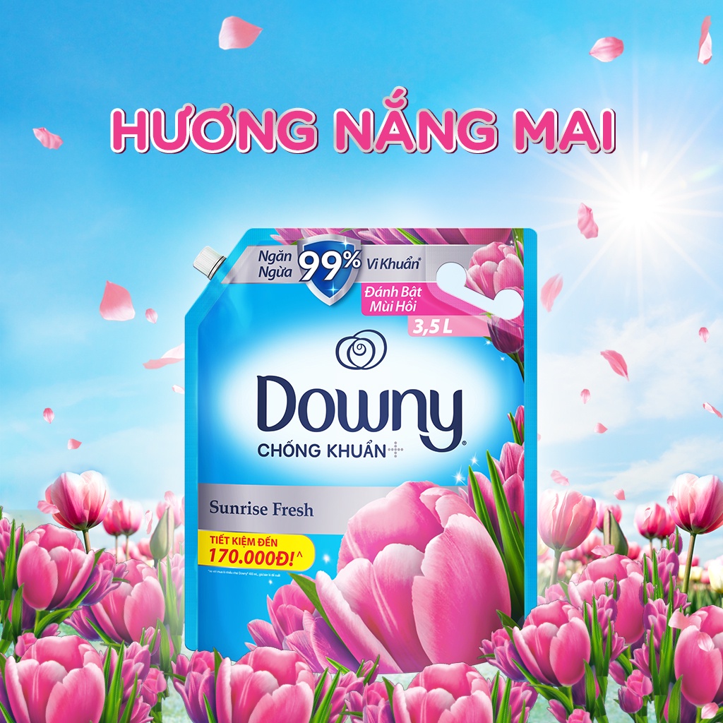 Combo 2 Túi Nước Xả Vải DOWNY Nắng Mai 2.3L/ Đam Mê 2.2L/ Huyền Bí 2.2L