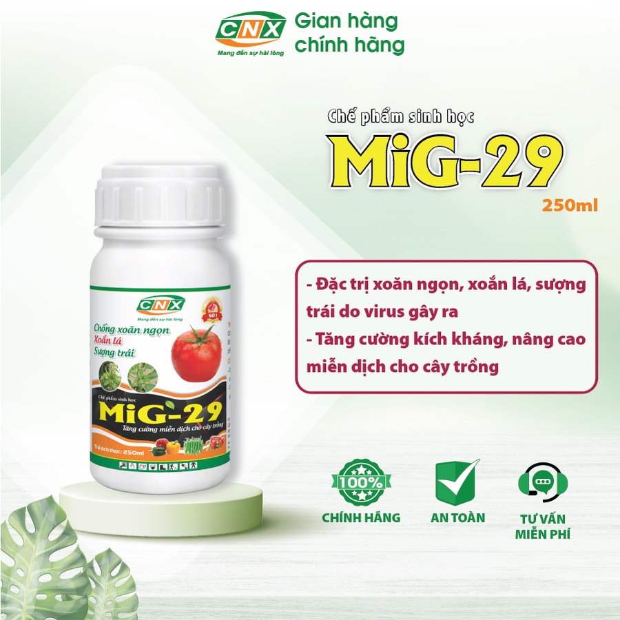Chế phẩm sinh học MIG 29 đặc trị xoắn ngọn, xoăn lá, sượng trái ngoãnh đầu lân - phòng bệnh do virus cho cây - CNX 250ml