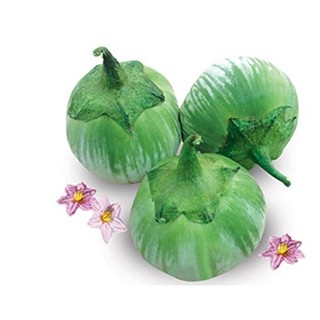 0.2Gr Hạt Giống Cà Dĩa Da Ếch