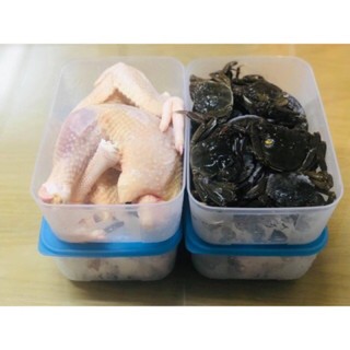 Hộp Trữ Đông Size Lẻ (1 hộp)
