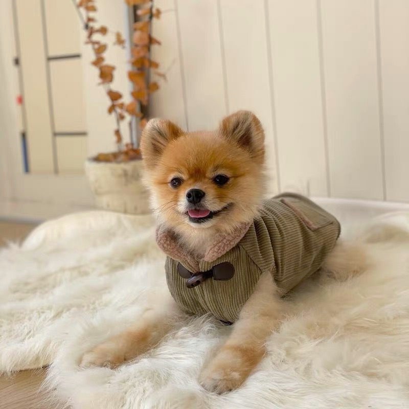 Áo Đệm cotton Dày Dặn Thời Trang Thu Đông Cho Thú Cưng