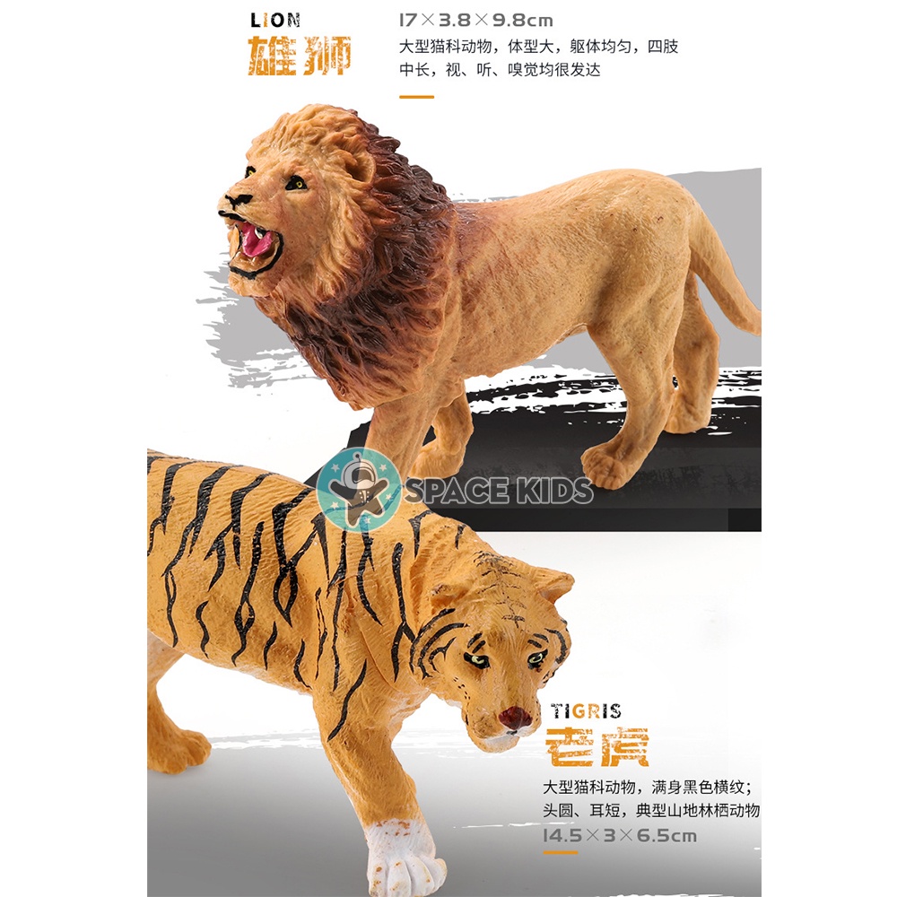 Đồ chơi mô hình con vật 58 chi tiết cho bé khám phá thế giới, bộ thế giới động vật