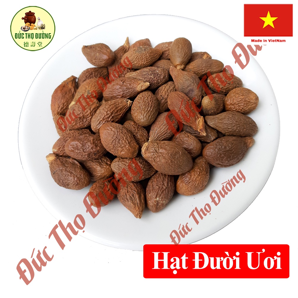 Hạt Đười Ươi Bay - túi 100 gam - Lười Ươi - Lừ Ư