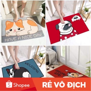 [RẺ VÔ ĐỊCH] THẢM LAU CHÂN 3D