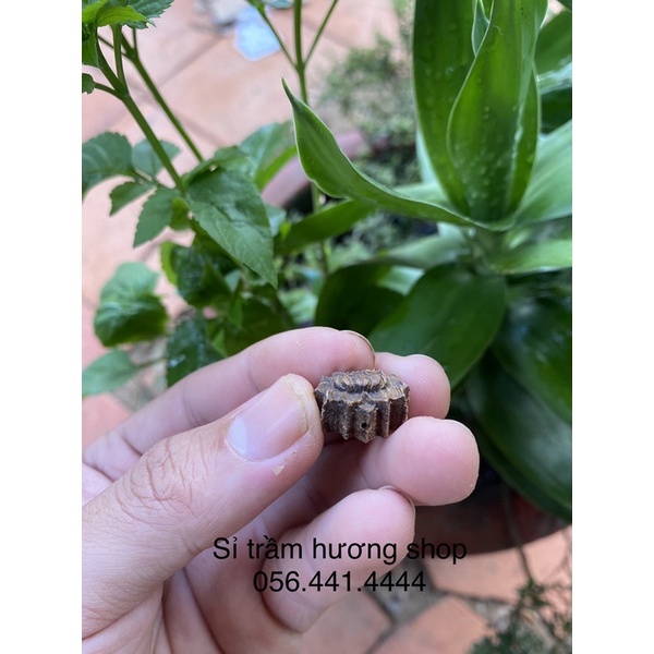 Charm hoa sen trầm hương tốc