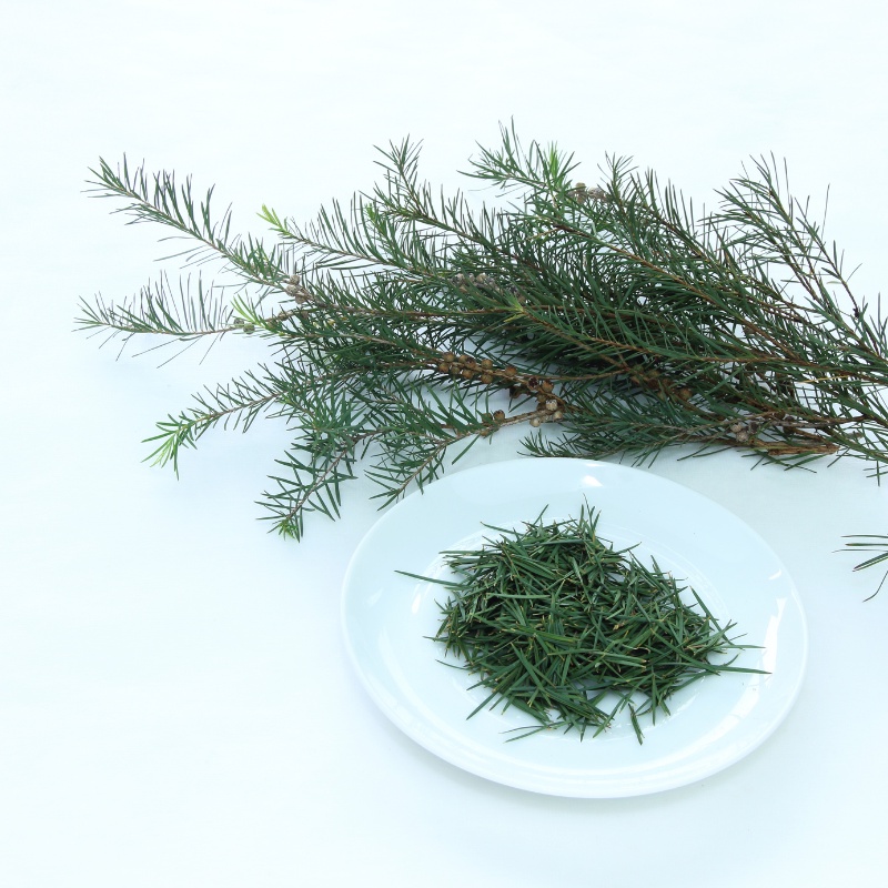 DR.JART Dr. Jart + Tinh Chất teatreement Làm Dịu Da 0.51 fl.oz / 15ml