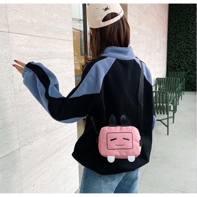 Túi đeo chéo mini vải canvas in hình đáng yêu nhiều ngăn đựng đồ cá nhân siêu tiên lợi đi chơi