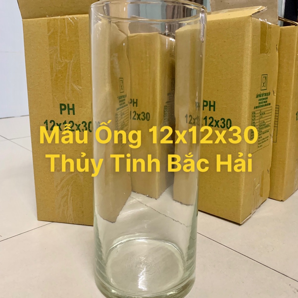 Mẫu Ống T12x30 - Bầu Bèo, Thố, Chân Ly, Chậu , Bễ , Hồ Thủy Tinh Trồng Cây Thủy Sinh Và Nuôi Cá - Thủy Tinh Bắc Hải