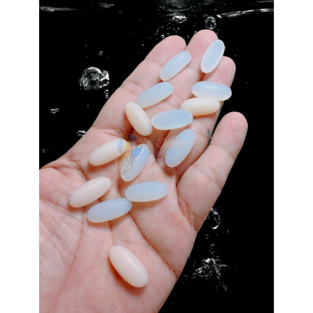 Bi Silicone Oval Dài