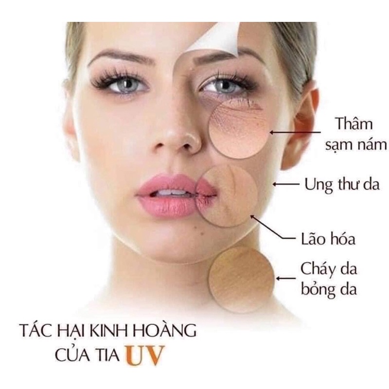 1 gói kem chống nắng Whoo fresh dưỡng trắng chống nắng vượt trội với spf50, pa4+