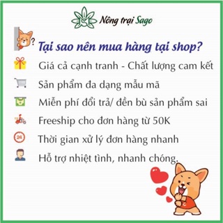 Dưỡng hoa tươi lâu chrysalnhập khẩu hà lan - chất dưỡng hoa lâu tàn - ảnh sản phẩm 8