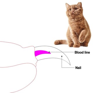 Bộ 2 Dụng Cụ Chăm Sóc Móng Cho Thú Cưng
