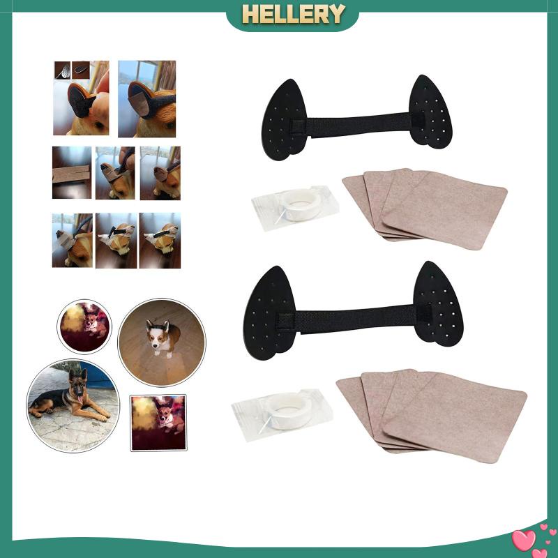 Tai Chó Đứng Hỗ Trợ Miếng Dán Tai Hỗ Trợ Lắp Ráp Tai Chó Cho Gia Đình