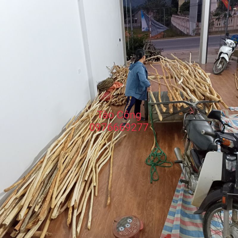 Cành cây gỗ thẳng khô tự nhiên decor trang trí dài 190cm