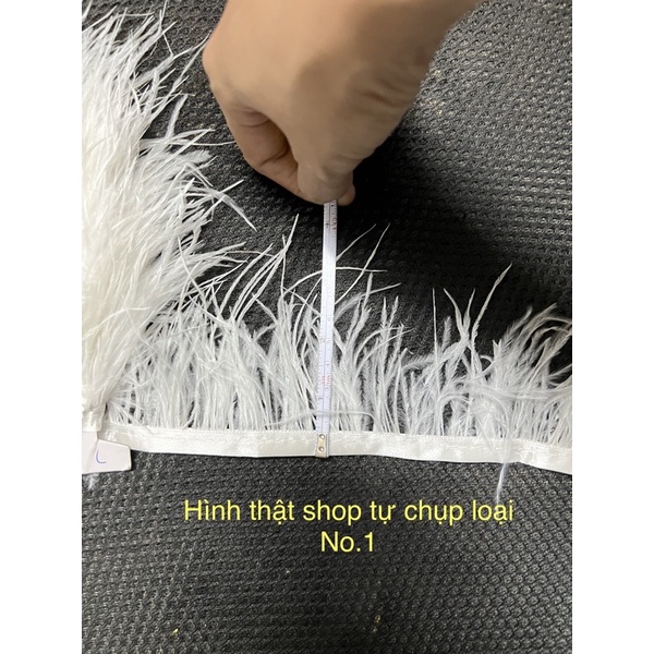 Lông Vũ Đà Điểu Cao Cấp, Dùng Trong May Mặc, Trang Trí Áo Váy Đầm