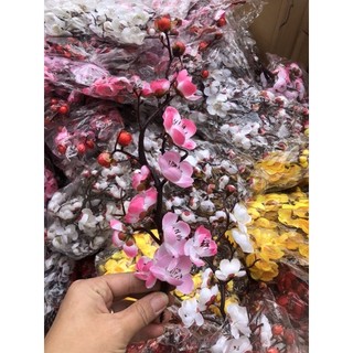 Cành đào cổ trang trí