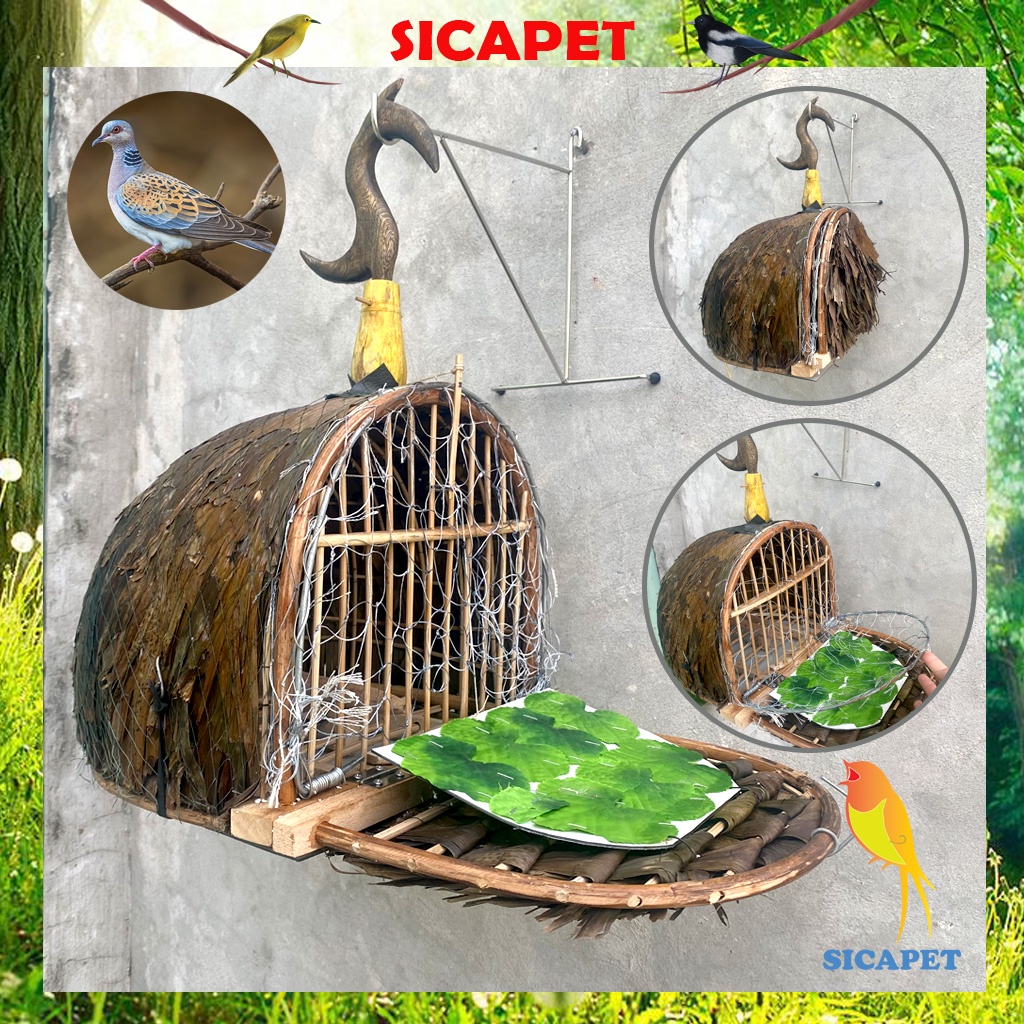 Lồng chim, Lồng bẫy chim Cu Gáy lợp lá, Bẫy chim Cu Gáy (Bird cage sangkar burung Terkukur) SICAPET