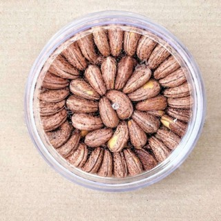 Hạt Điều Rang Muối Nguyên Lụa 500gr