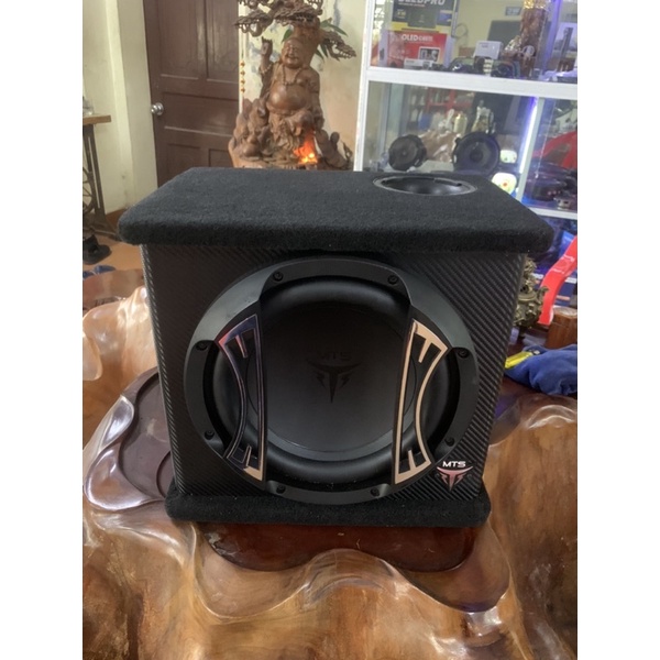 Loa Bas nắp trong ô tô-  MTS -VX10 chính hãng