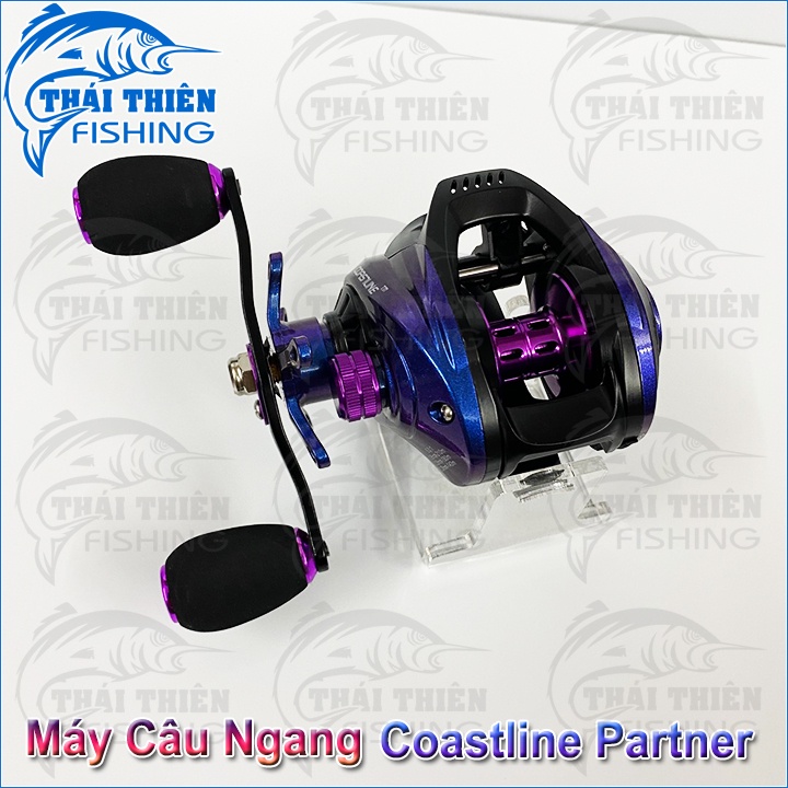 Máy Câu Ngang Coastline Partner 8.0:1 Tay Quay Trái Dùng Lure Cá Lóc, Chẽm, Mú
