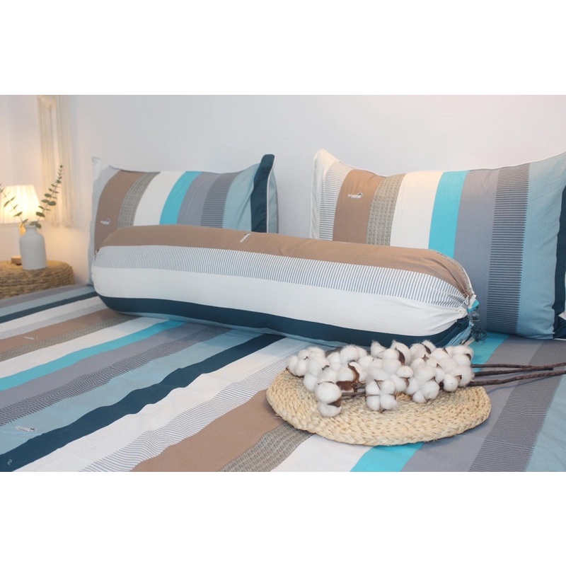 bộ drap cotton Thắng Lợi, ga giường (4 món) in logo sọc xanh xám