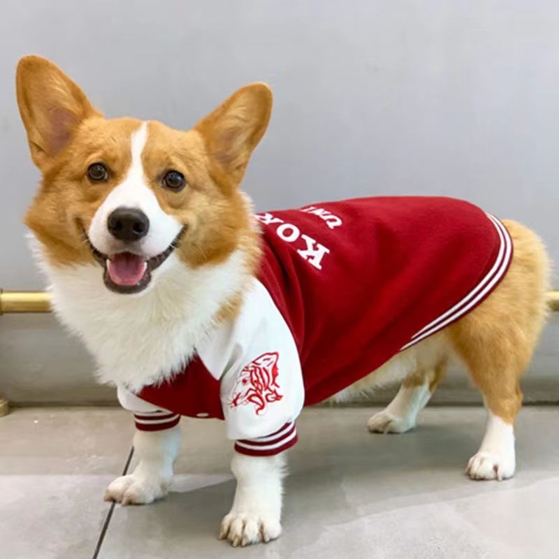 Áo Khoác Bóng Chày Giữ Ấm Mùa Thu Đông Kích Thước Vừa / Nhỏ / Vừa / Chó Corgi Phong Cách Đường Phố Schnauzer Shiba In