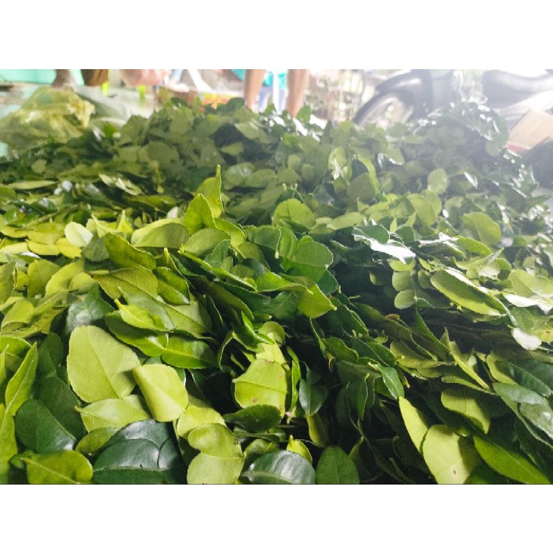 Combo 2 kg lá chúc, giá 260k. Lá tươi nha các tình yêu.