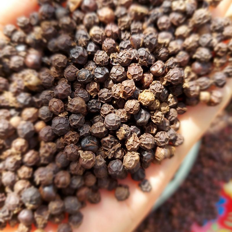Tiêu đen hạt loại 1(chính chủ nhà trồng chuẩn xuất khẩu)