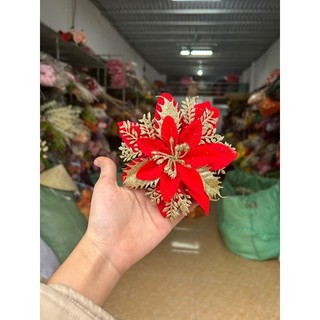 bông Trạng nguyên cao cấp.